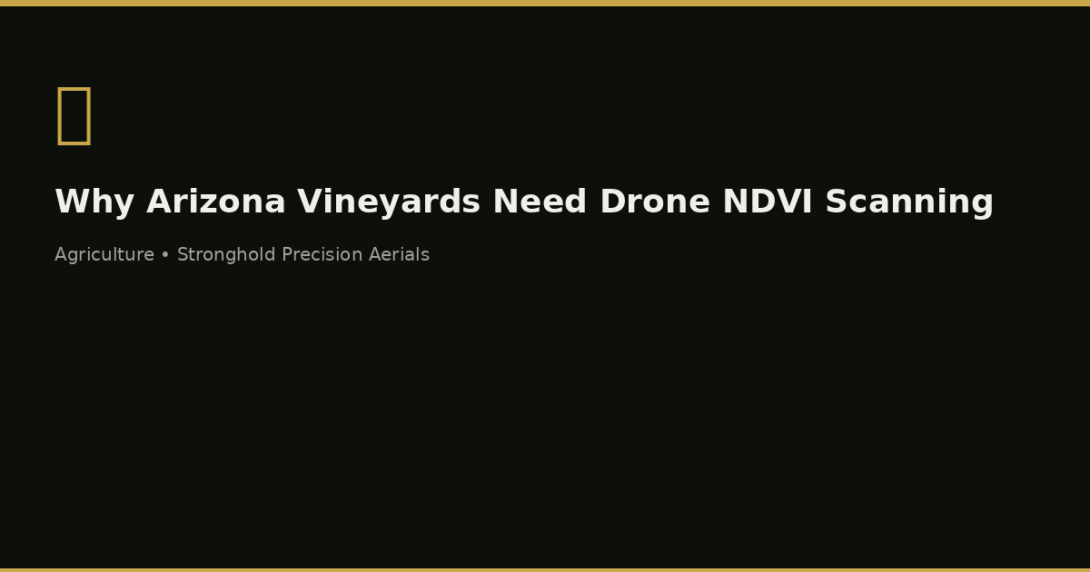 Why Arizona Vineyards Need Drone NDVI Scanning